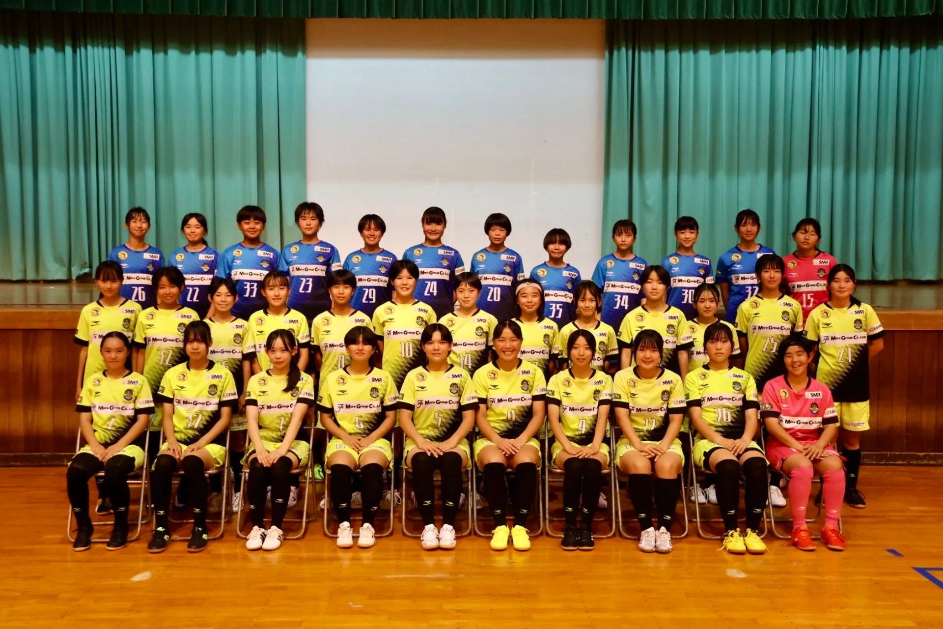 ヴィアマテラス宮崎ソレイナチーム画像